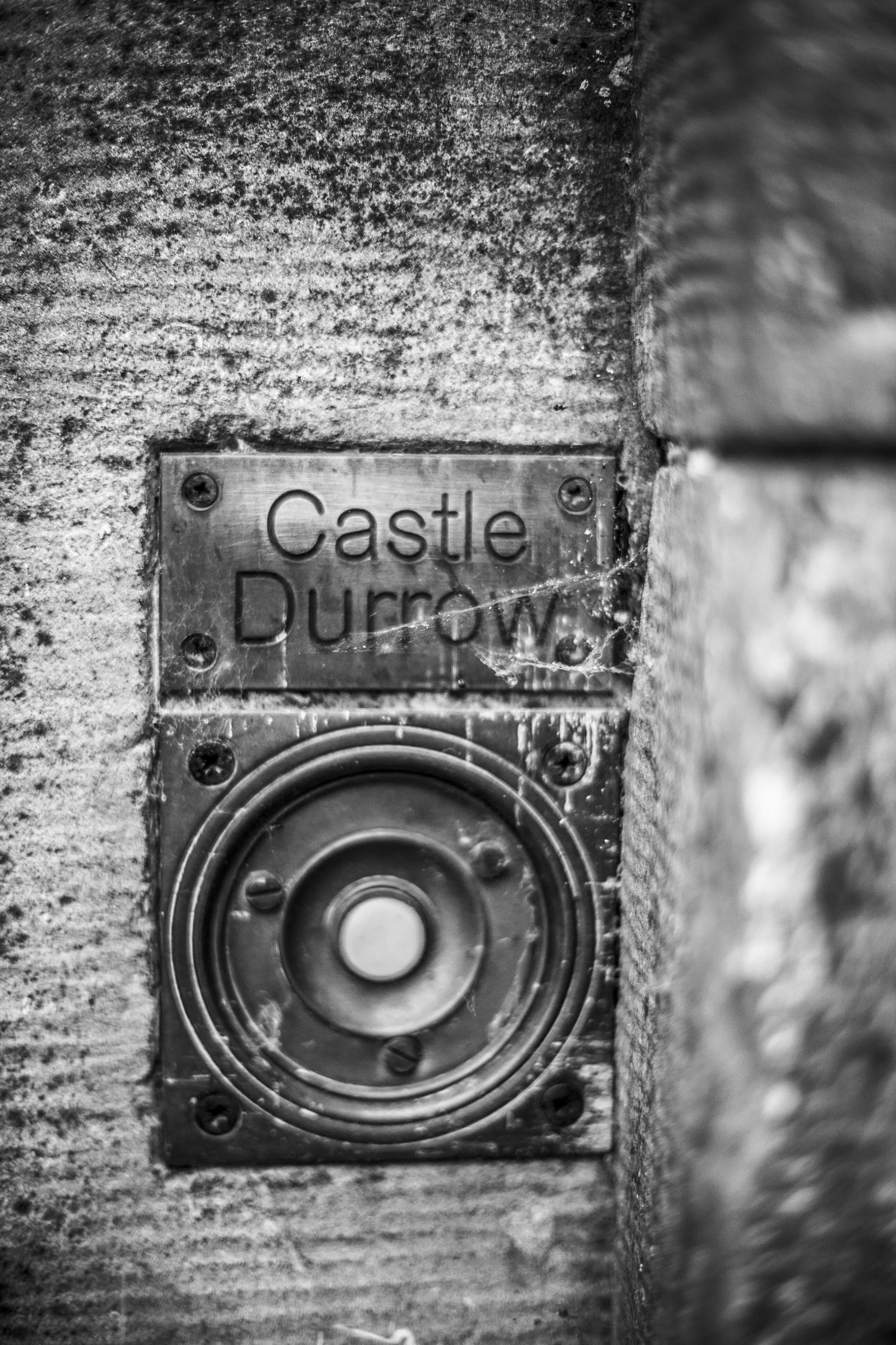 bernard carolan castle durrow wedding photographer house